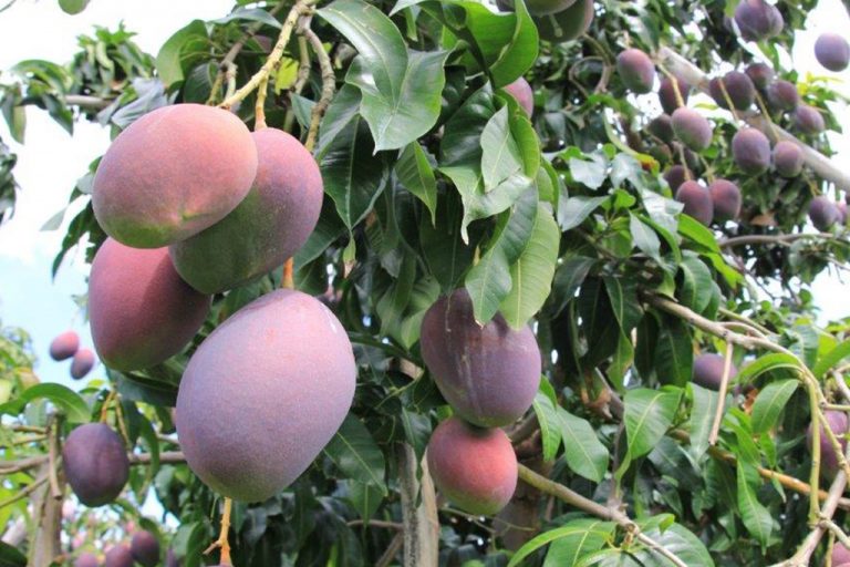 3-IMG_8915-1-768x512